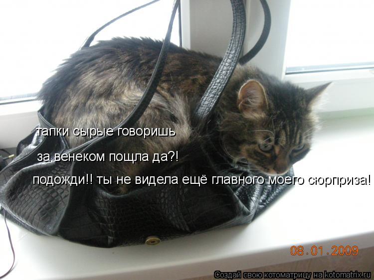 Котоматрица: тапки сырые говоришь за венеком пощла да?! подожди!! ты не видела ещё главного моего сюрприза!
