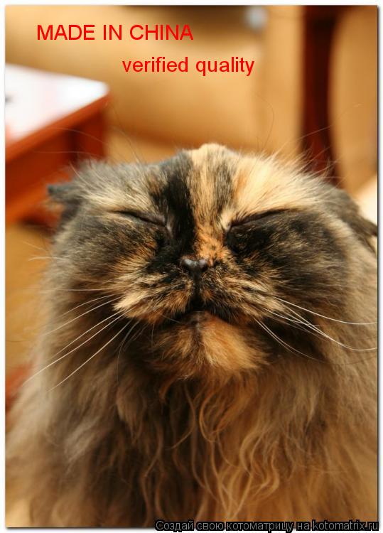 Котоматрица: MADE IN CHINA verified quality