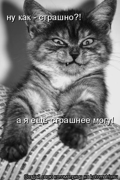 Котоматрица: ну как - страшно?! а я ещё страшнее могу!
