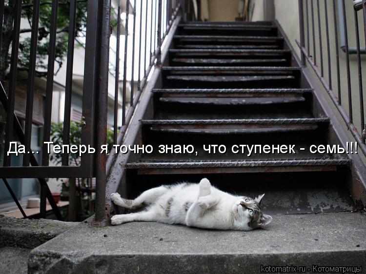 Да... Теперь я точно знаю, что ступенек - семь!!!... Котоматрица: Да... Теперь я точно знаю, что ступенек - семь!!!