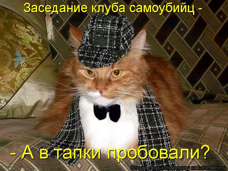 Заседание клуба самоубийц - - А в тапки пробовали?... Котоматрица: Заседание клуба самоубийц - - А в тапки пробовали?