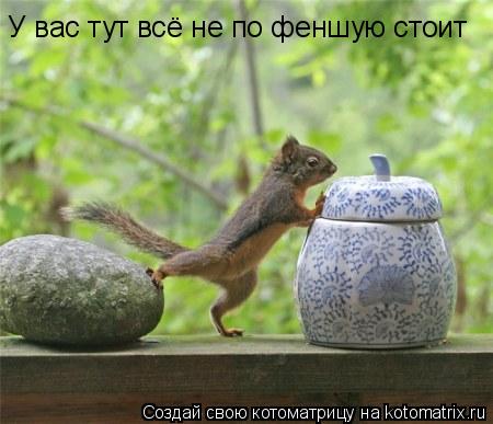 Котоматрица: У вас тут всё не по феншую стоит