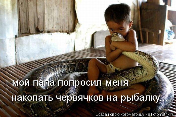 Котоматрица: - мой папа попросил меня накопать червячков на рыбалку...