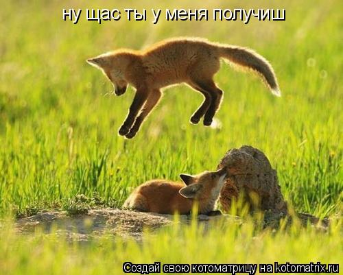 Котоматрица: ну щас ты у меня получиш