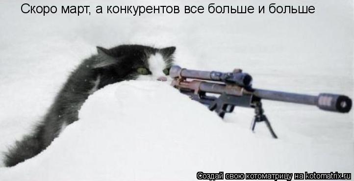 Котоматрица: Скоро март, а конкурентов все больше и больше