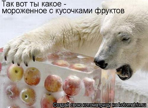 Котоматрица: Так вот ты какое -  мороженное с кусочками фруктов