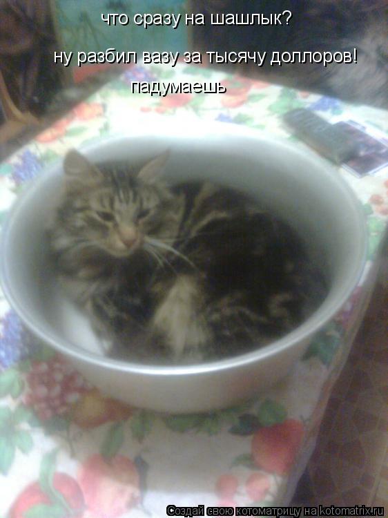 Котоматрица: что сразу на шашлык? ну разбил вазу за тысячу доллоров! падумаешь