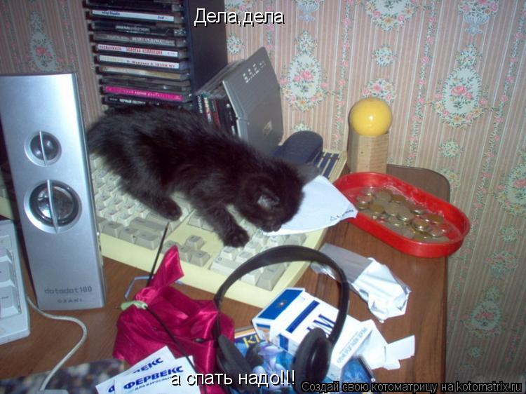 Котоматрица: Дела,дела а спать надо!!!