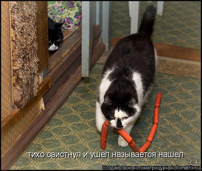 Котоматрица: тихо свистнул и ушел называется нашел