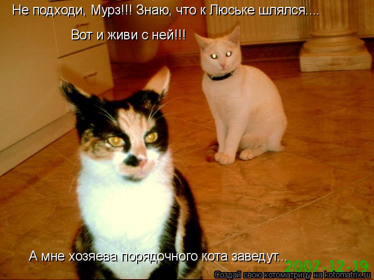 Котоматрица: Вот и живи с ней!!! А мне хозяева порядочного кота заведут...  Не подходи, Мурз!!! Знаю, что к Люське шлялся....