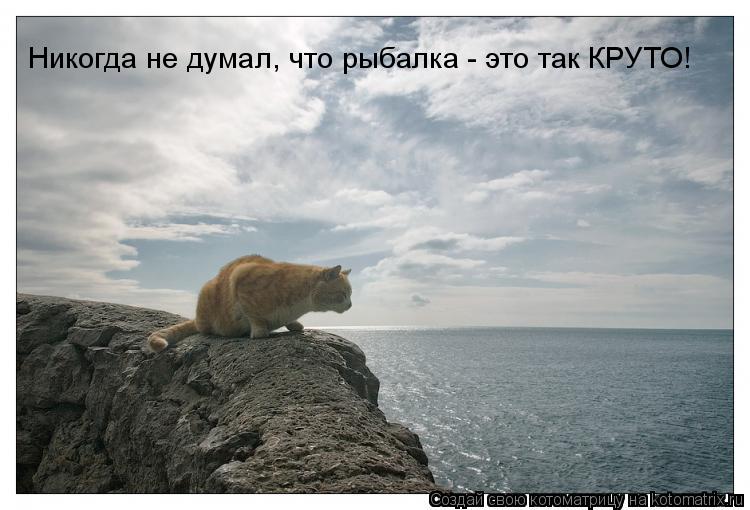 Никогда не думал, что рыбалка - это так КРУТО!... Котоматрица: Никогда не думал, что рыбалка - это так КРУТО!