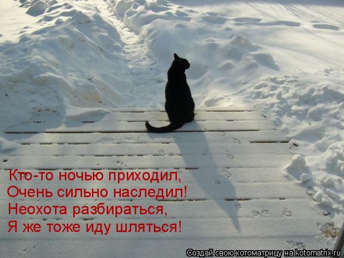 Котоматрица: Кто-то ночью приходил, Очень сильно наследил! Неохота разбираться, Я же тоже иду шляться!