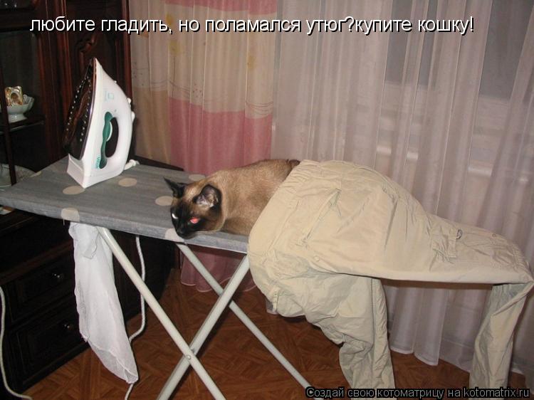 Котоматрица: любите гладить, но поламался утюг?купите кошку!