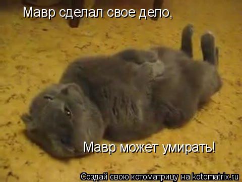 Котоматрица: Мавр сделал свое дело, Мавр может умирать!