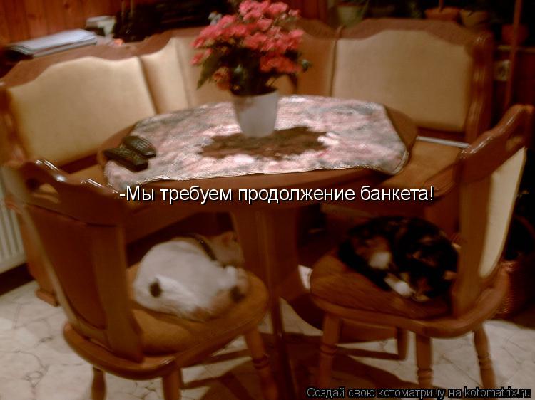 Котоматрица: -Мы требуем продолжение банкета!