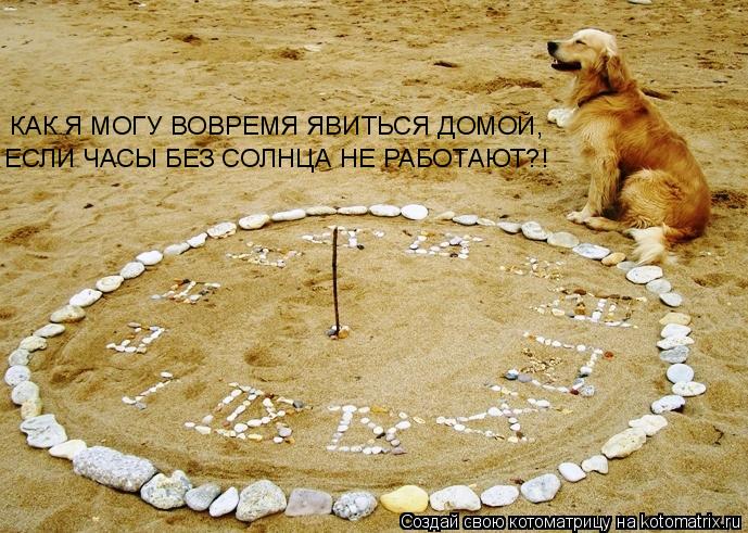 Котоматрица: КАК Я МОГУ ВОВРЕМЯ ЯВИТЬСЯ ДОМОЙ,  ЕСЛИ ЧАСЫ БЕЗ СОЛНЦА НЕ РАБОТАЮТ?!