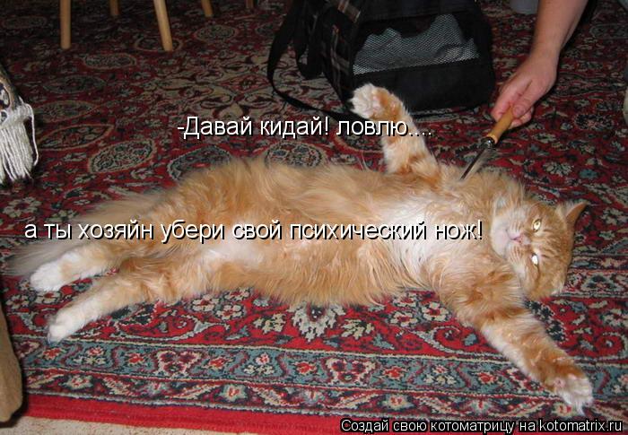 Котоматрица: -Давай кидай! ловлю.... а ты хозяйн убери свой психический нож!