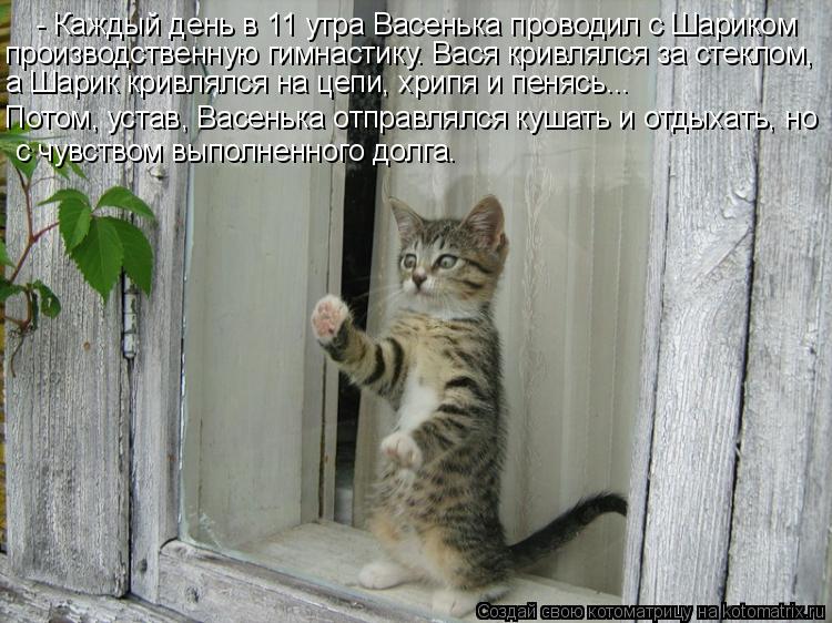- Каждый день в 11 утра Васенька проводил с Шариком производственную гимнастику. Вася кривлялся за ст... Котоматрица: - Каждый день в 11 утра Васенька проводил с Шариком производственную гимнастику. Вася кривлялся за стеклом, а Шарик кривлялся на цепи, хрипя