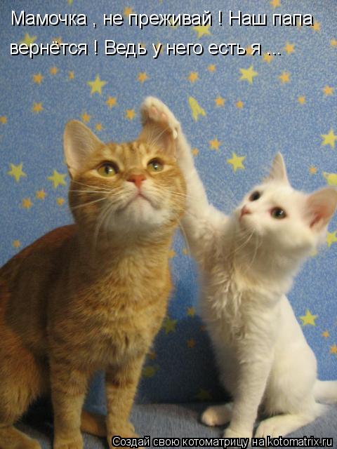 Котоматрица: Мамочка , не преживай ! Наш папа вернётся ! Ведь у него есть я ...