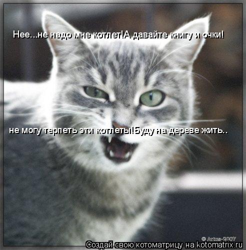 Котоматрица: Нее...не надо мне котлет!А давайте книгу и очки! не могу терпеть эти котлеты!Буду на дереве жить..