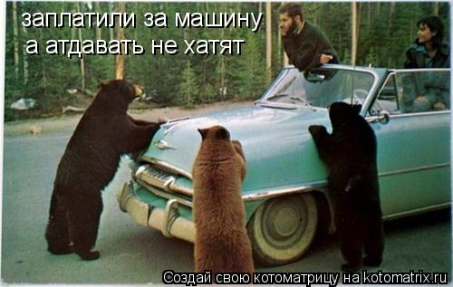 Котоматрица: заплатили за машину а атдавать не хатят