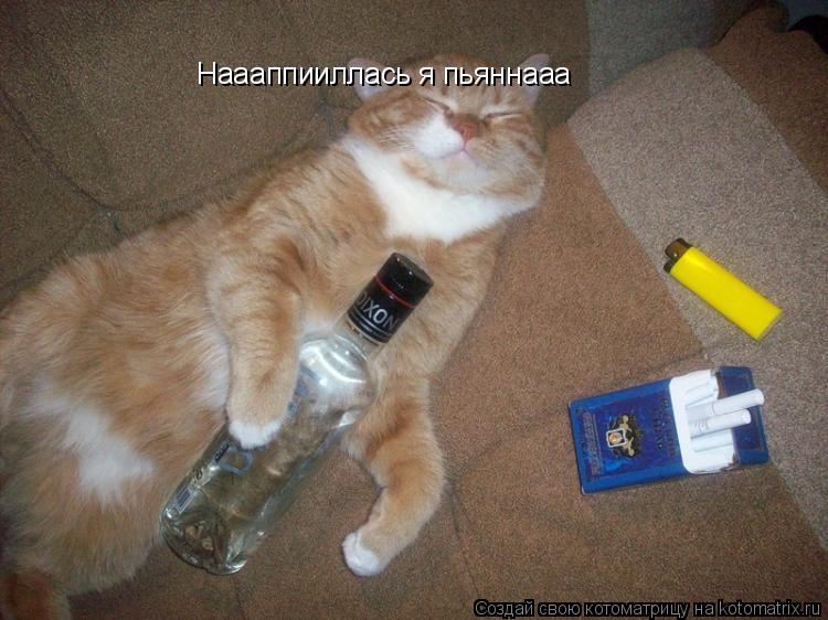Наааппииллась я пьяннааа... Котоматрица: Наааппииллась я пьяннааа