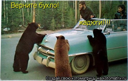 Верните бухло! жадюги!!!!... Котоматрица: Верните бухло! жадюги!!!!