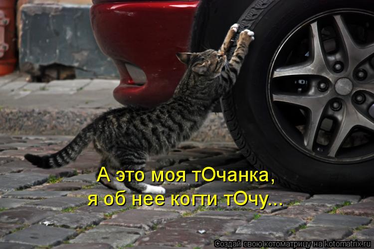 А это моя тОчанка, я об нее когти тОчу...... Котоматрица: А это моя тОчанка, я об нее когти тОчу...