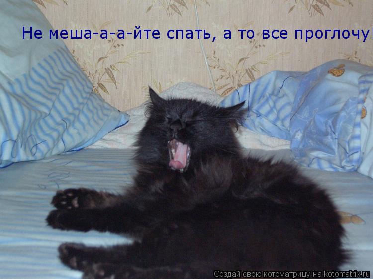 Не меша-а-а-йте спать, а то все проглочу!... Котоматрица: Не меша-а-а-йте спать, а то все проглочу!