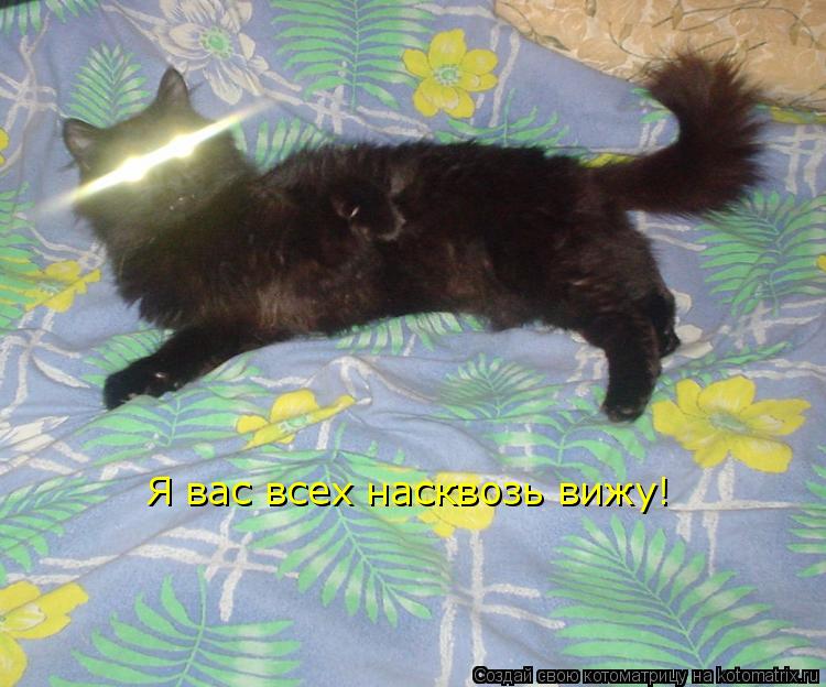 Я вас всех насквозь вижу!... Котоматрица: Я вас всех насквозь вижу!