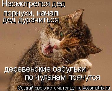 Насмотрелся дед порнухи, начал дед дурачиться, деревенские бабульки по чуланам прячутся... Котоматрица: Насмотрелся дед порнухи, начал дед дурачиться, деревенские бабульки по чуланам прячутся