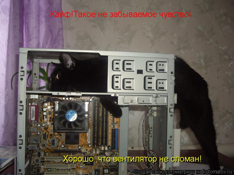 Кайф!Такое не забываемое чувство! Хорошо ,что вентилятор не сломан!... Котоматрица: Кайф!Такое не забываемое чувство! Хорошо ,что вентилятор не сломан!