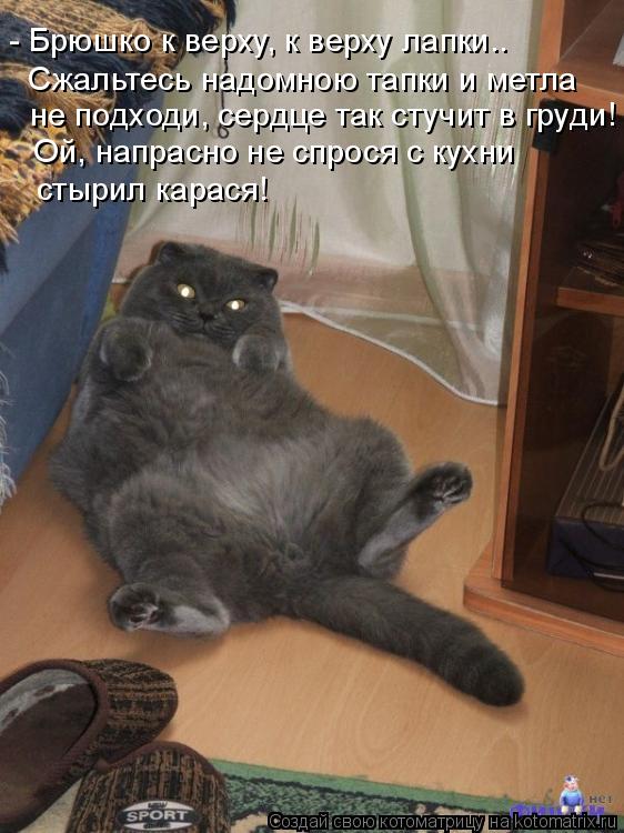 Котоматрица: - Брюшко к верху, к верху лапки.. Сжальтесь надомною тапки и метла не подходи, сердце так стучит в груди! Ой, напрасно не спрося с кухни стырил 