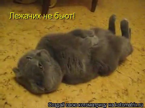Котоматрица: Лежачих не бьют!