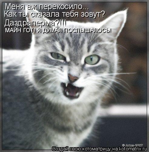 Котоматрица: Меня аж перекосило... Как ты сказала тебя зовут? Даздраперма?!!! МАЙН ГОТ! Я ДУМАЛ ПОСЛЫШАЛОСЬ!