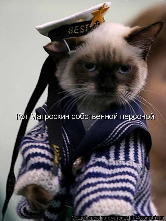 Котоматрица: Кот Матроскин собственной персоной