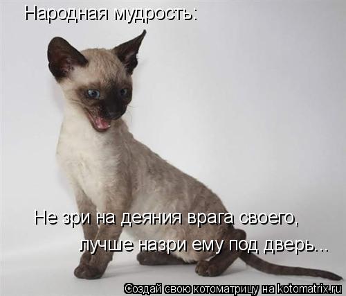 Котоматрица: Народная мудрость: Не зри на деяния врага своего, лучше назри ему под дверь...