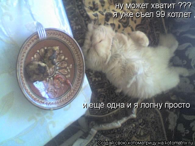 Котоматрица: ну может хватит ???  я уже съел 99 котлет  ,  и ещё одна и я лопну просто