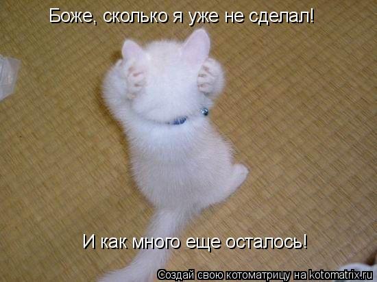 Котоматрица: Боже, сколько я уже не сделал! И как много еще осталось!