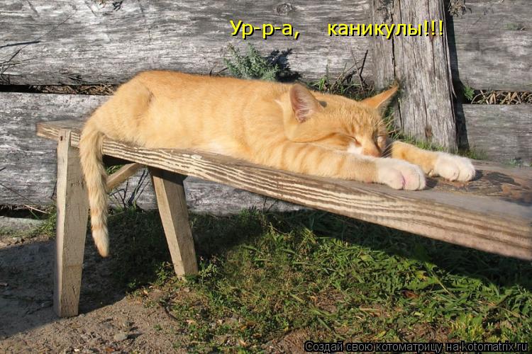 Котоматрица: У р-р-а,    каникулы!!! Ур-р-а,    каникулы!!!