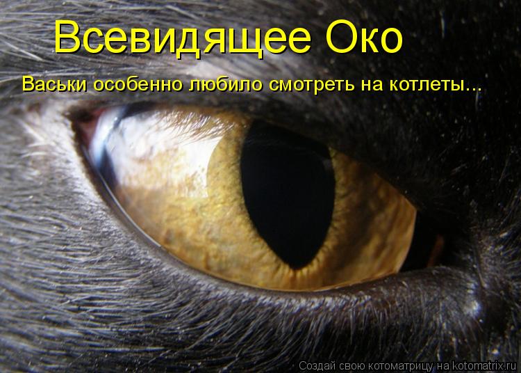 Всевидящее Око Васьки особенно любило смотреть на котлеты...... Котоматрица: Всевидящее Око Васьки особенно любило смотреть на котлеты...