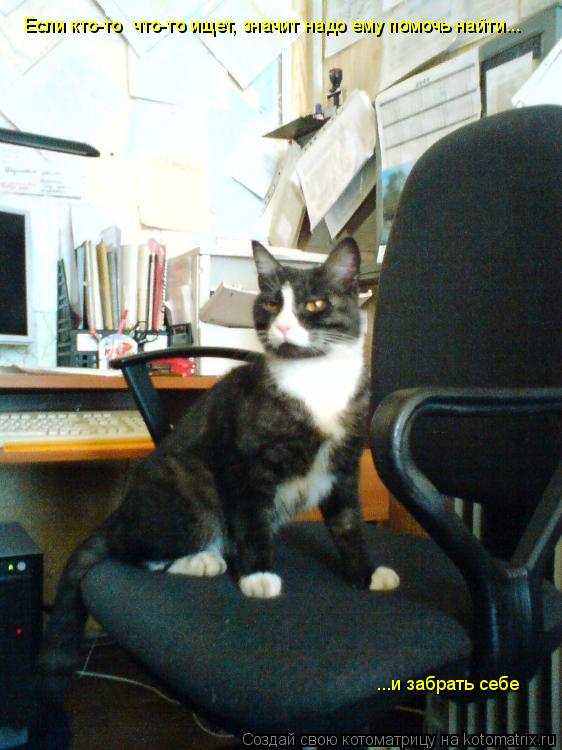 Котоматрица: Если кто-то  что-то ищет, значит надо ему помочь найти... ...и забрать себе