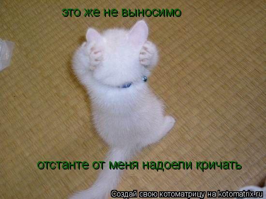 Котоматрица: это же не выносимо  отстанте от меня надоели кричать
