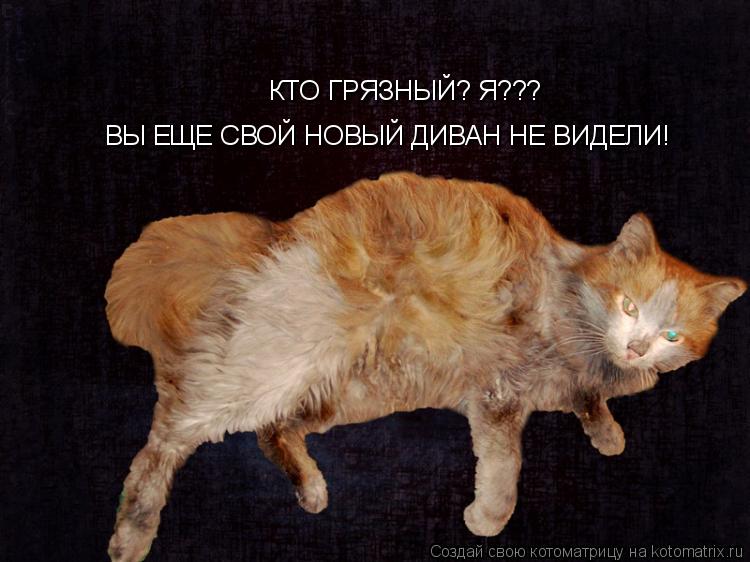 Котоматрица: КТО ГРЯЗНЫЙ? Я??? ВЫ ЕЩЕ СВОЙ НОВЫЙ ДИВАН НЕ ВИДЕЛИ!