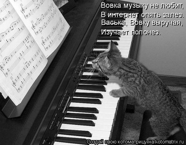 Котоматрица: Вовка музыку не любит, Васька, Вовку выручая, В интернет опять залез. Изучает полонез.