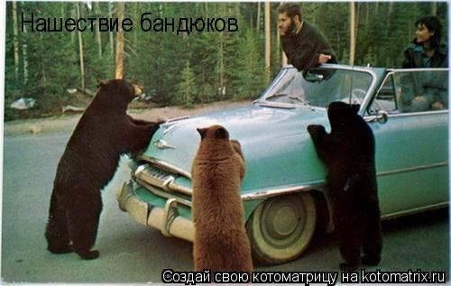 Котоматрица: Нашествие бандюков