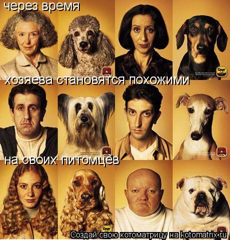 Котоматрица: через время хозяева становятся похожими на своих питомцев