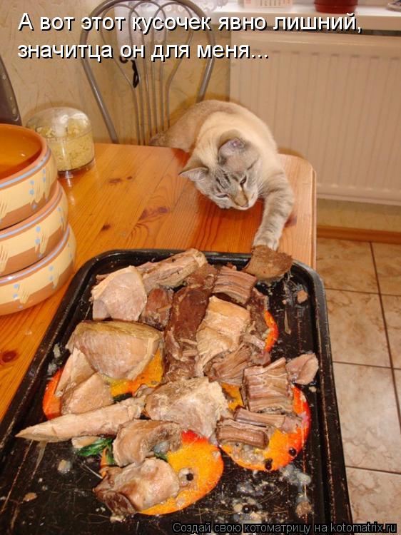 Котоматрица: А вот этот кусочек явно лишний, значитца он для меня...