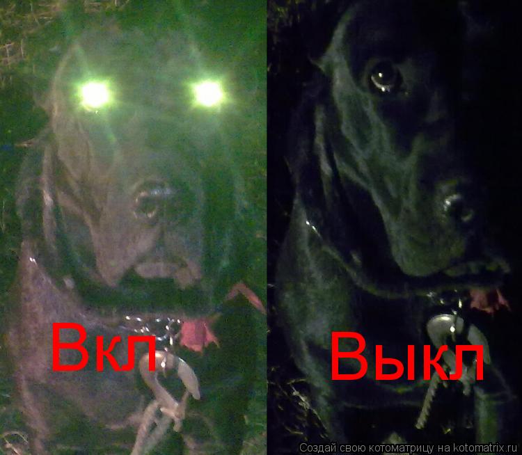 Котоматрица: Вкл Выкл