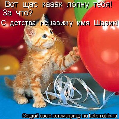 Котоматрица: Вот  щас  кааак  лопну  тебя! За  что? С  детства  ненавижу  имя  Шарик!